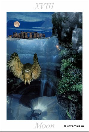 Nature Tarot by Jan Strube